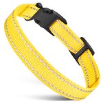 Pet Training Accessories Manufacturer - OEM/ODM Dog Leash Collar