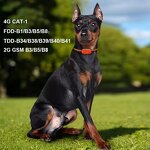 GPS Pet Tracker Manufacturer - OEM/ODM 4G LTE Real-Time