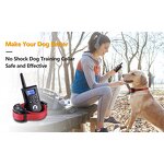 Dog Training Collar Manufacturer - OEM/ODM No Shock Buzzer Remote
