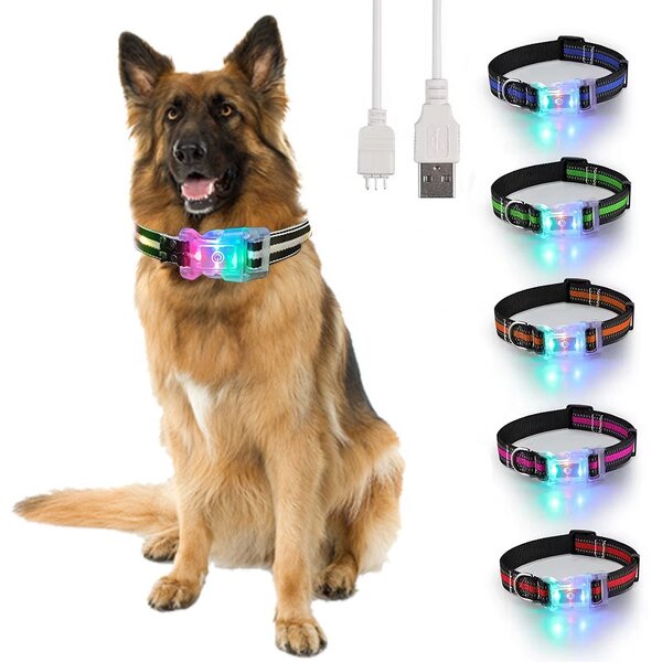 LED Pet Collar Manufacturer - OEM/ODM Adjustable Flash Personalised