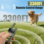 Dog Training Collar Manufacturer - OEM/ODM 1000M Range Beep Vibration