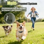 Dog Training Collar Manufacturer - OEM/ODM 1000M Range Beep Vibration