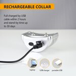 Anti Bark Collar Manufacturer - OEM/ODM Dog Training Device