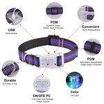 LED Dog Collar Manufacturer - OEM/ODM Light up Rechargeable