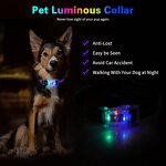 LED Dog Collar Manufacturer - OEM/ODM Light up Rechargeable