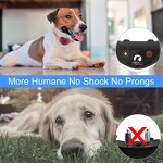 Dog Training Collar Manufacturer - OEM/ODM No Prongs Vibration