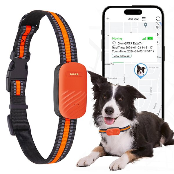 GPS Dog Tracker Manufacturer - OEM/ODM 4G Wireless Fence
