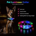 LED Dog Collar Manufacturer - OEM/ODM IP68 Waterproof Rechargeable