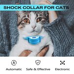 Cat Training Collar Manufacturer - OEM/ODM Anti Bark Waterproof