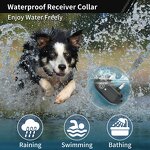 Dog Shock Collar Manufacturer - OEM/ODM Ultrasonic Bark Deterrent