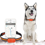 GPS Pet Tracker Manufacturer - OEM/ODM 4G LTE Real-Time