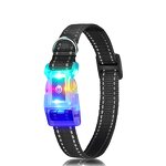 LED Dog Collar Manufacturer - OEM/ODM Light up Rechargeable