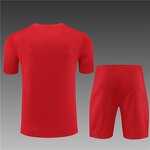 Soccer Jersey Set Manufacturer - OEM/ODM Men's Organic Cotton
