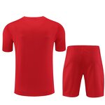 Soccer Jersey Set Manufacturer - OEM/ODM Men's Organic Cotton