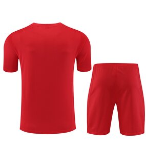 Soccer Jersey Set Manufacturer - OEM/ODM Men's Organic Cotton