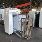 Blast Freezer Manufacturer - OEM/ODM Ultra-Low Temperature Tunnel