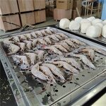 Shock Freezer Manufacturer - OEM/ODM Small Blast Chiller Mini IQF