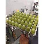 Popsicle Mold Manufacturer - OEM/ODM Stainless Steel Mini Machine