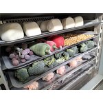 Blast Freezer Manufacturer - OEM/ODM Ultra Low Portable Stainless