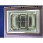 Food Truck Manufacturer - OEM/ODM 220V Ice Cream Cart Freezer