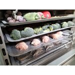 Blast Freezer Manufacturer - OEM/ODM CE ISO Copper Pipe Stainless