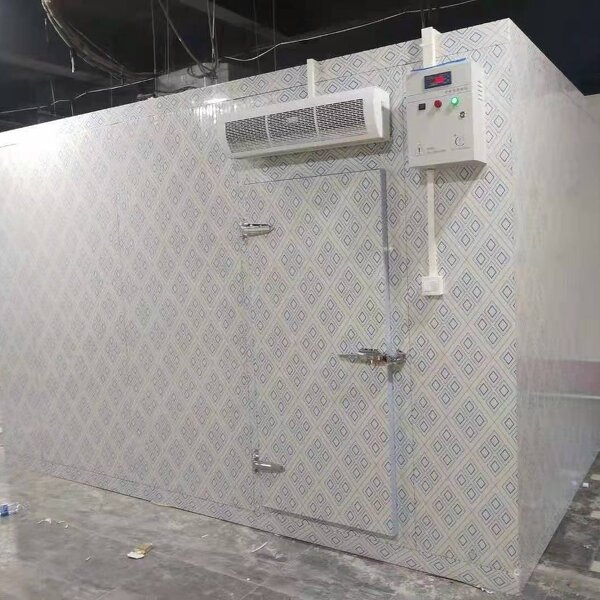 Blast Freezer Manufacturer - OEM/ODM -40 Degree Fast Freezing Shock