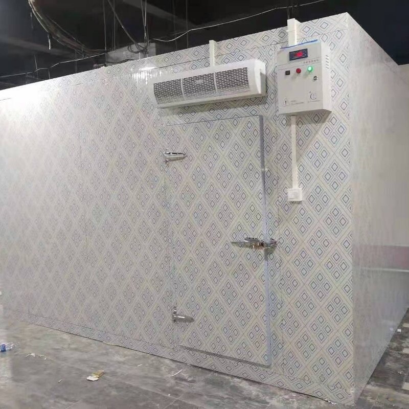 Blast Freezer Manufacturer - OEM/ODM -40 Degree Fast Freezing Shock