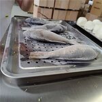 Shock Freezer Manufacturer - OEM/ODM Small Blast Chiller Mini IQF