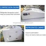 Solar Cooler Manufacturer - OEM/ODM Three-Wheel Fuel Motorcycles Cargo