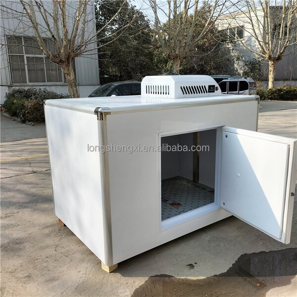 Mobile Freezer Manufacturer - OEM/ODM Portable Mini Cargo Cooler
