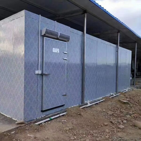 Walk-in Freezer Manufacturer - OEM/ODM Sliding Door Air Cooling