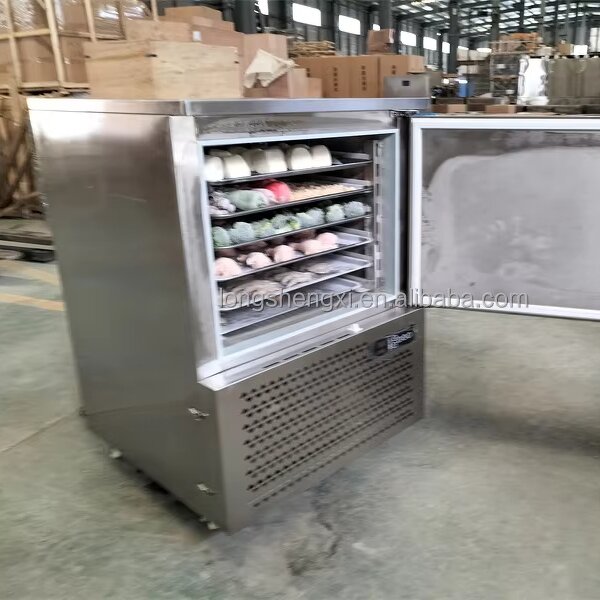 Plate Freezer Manufacturer - OEM/ODM 3/6/10/12/15 Trays -40 Degree