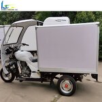 Cooling Tricycle Manufacturer - OEM/ODM Gasoline Three Wheel Cargo