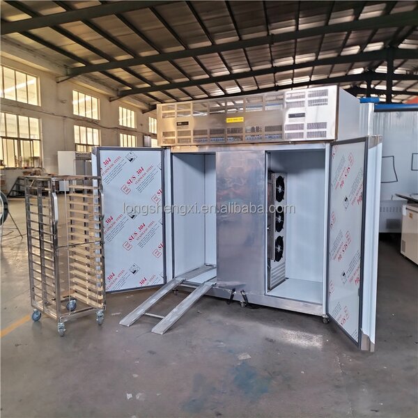 Blast Freezer Manufacturer - OEM/ODM Industrial Stainless Steel Fish