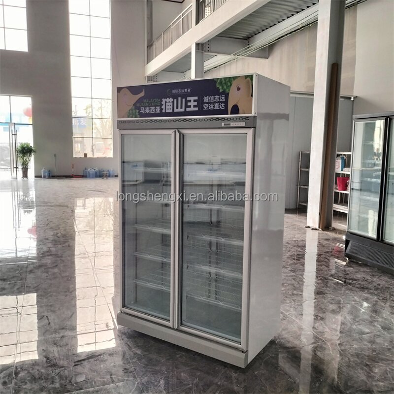 Ice Cream Freezer Manufacturer - OEM/ODM -22 Degree 2 Door