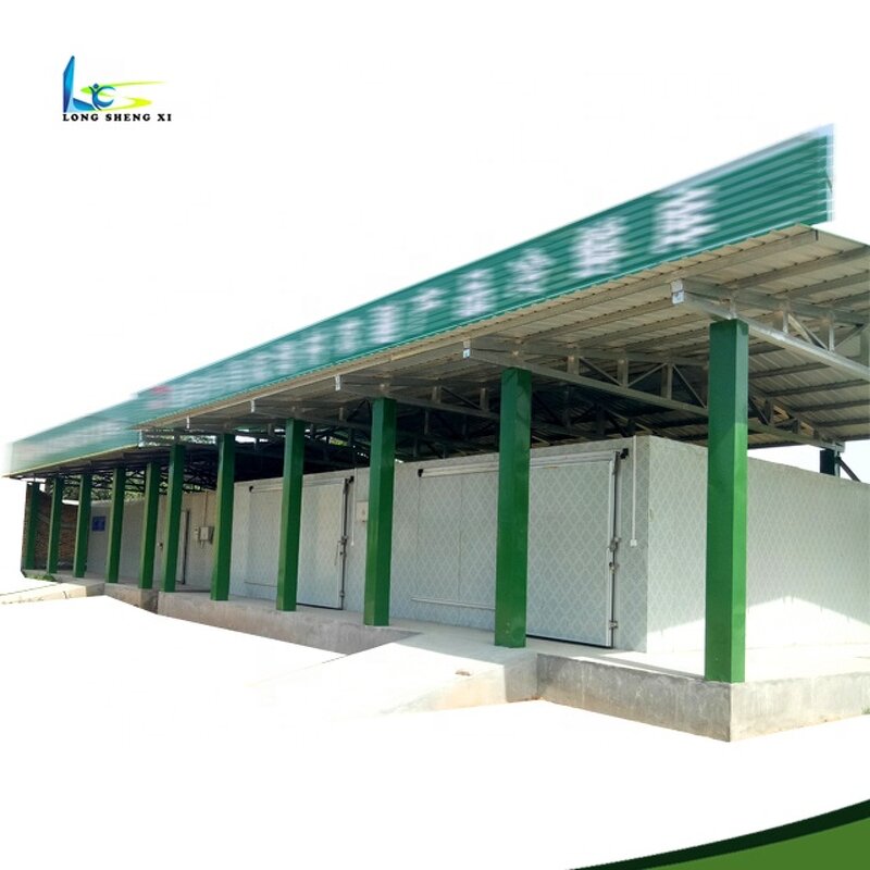 Cold Room Manufacturer - OEM/ODM Vegetable Insulation Butcher