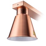 Infrared Heat Lamp Manufacturer - OEM/ODM Customized Buffet Food