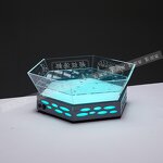 Ice Trough Manufacturer - OEM/ODM Stainless Steel LED Lights