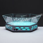 Ice Trough Manufacturer - OEM/ODM Stainless Steel LED Lights