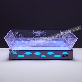 Ice Trough Manufacturer - OEM/ODM Stainless Steel LED Lights