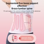 Women's Back Support Belt Supplier - Adjustable Lower Back Compression Belt