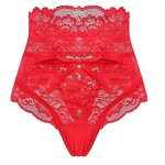 Seamless Underwear Manufacturer - OEM Low-waisted Nylon Briefs