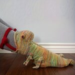 Beret Hat Supplier - Custom French Vintage Bow Winter