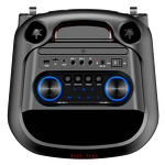 Portable Speaker Supplier - 10 Inch Dual Channel Outdoor Party Speaker