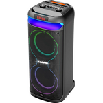 Portable Speaker Supplier - 10 Inch Dual Channel Outdoor Party Speaker