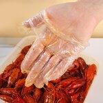 Wholesale Kitchen Gloves Supplier - Waterproof Compostable Disposable Pe Clear