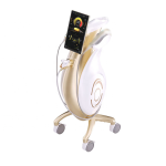 RF EMS机-25D家用系统生产厂家