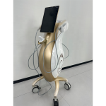 Portable RF Machine - OEM Salon Use Device Supplier
