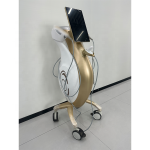 RF EMS机-25D家用系统生产厂家