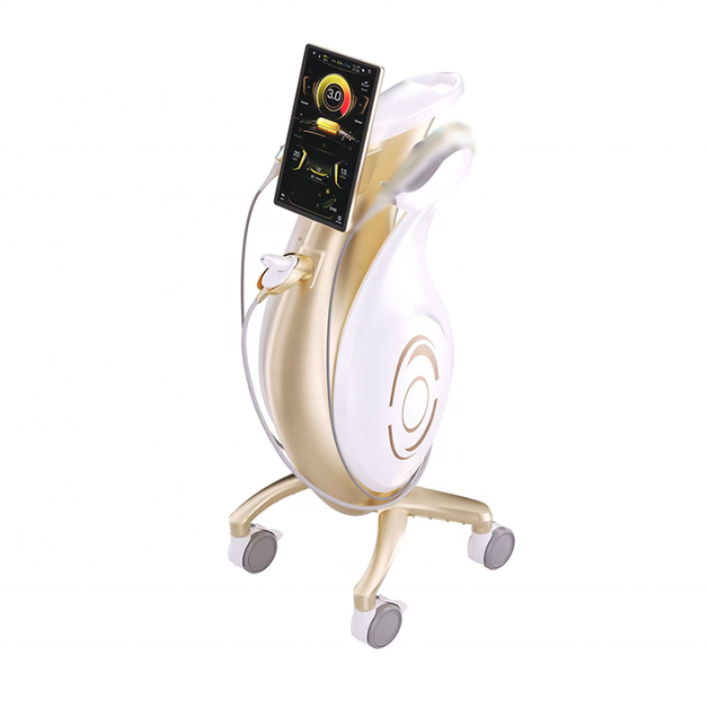 Portable RF Machine - OEM Salon Use Device Supplier